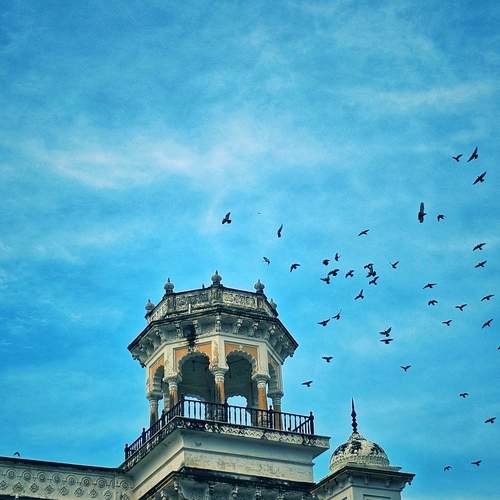 Photo #13709181