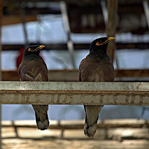 Photo #13709249