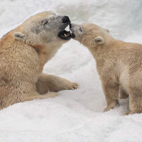 Photo #13709256