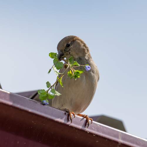 Photo #13709297