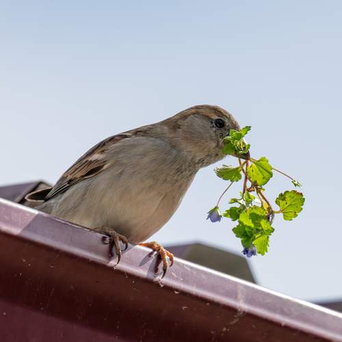 Photo #13709298