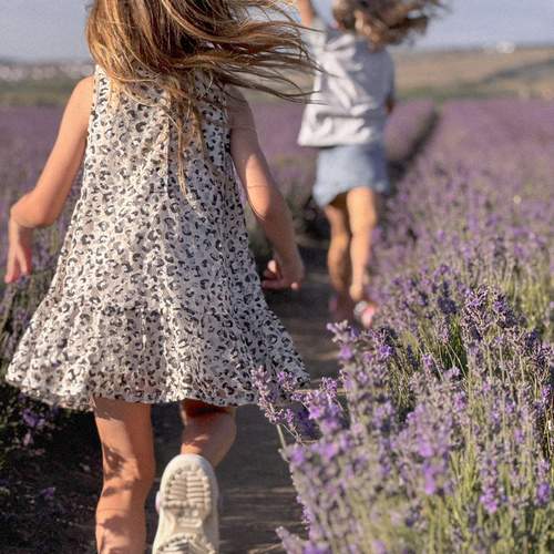Photo #13709340