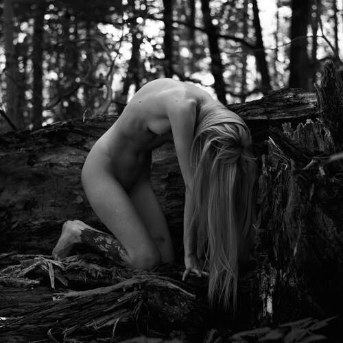 Photo #13709347