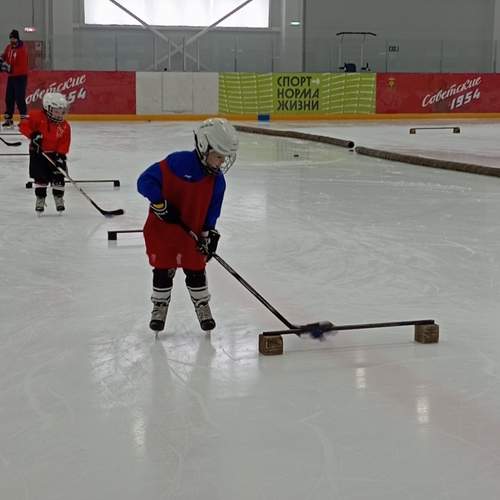 Photo #13709367