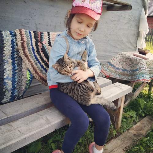 Photo #13709372