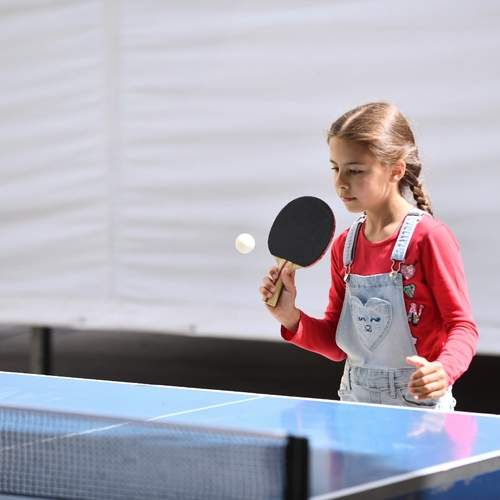 Photo #13709402