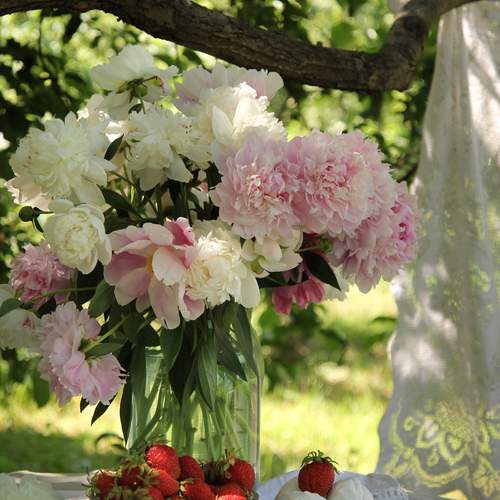 Photo #13709425