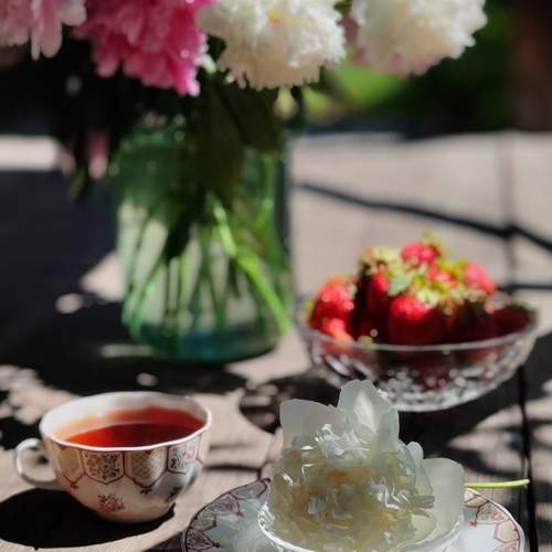 Photo #13709429