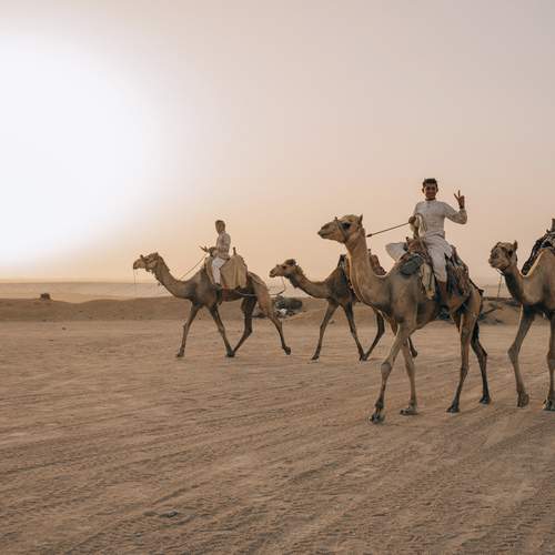 Photo #13709455