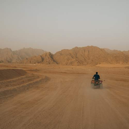 Photo #13709456