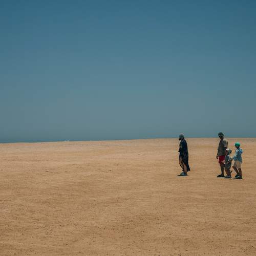 Photo #13709458
