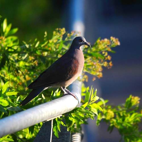 Photo #13709466
