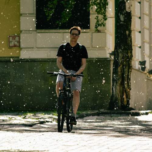Photo #13709486