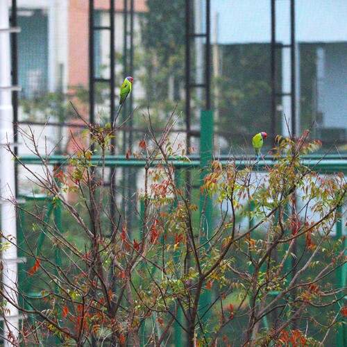 Colors Between Concrete
