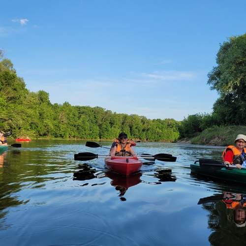 Photo #13709534