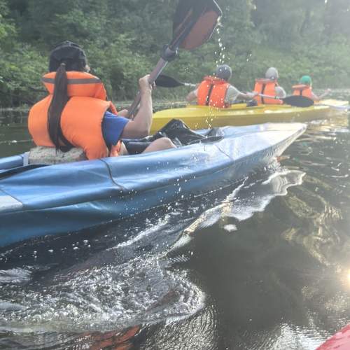 Photo #13709536