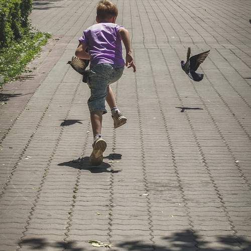 Photo #13709575