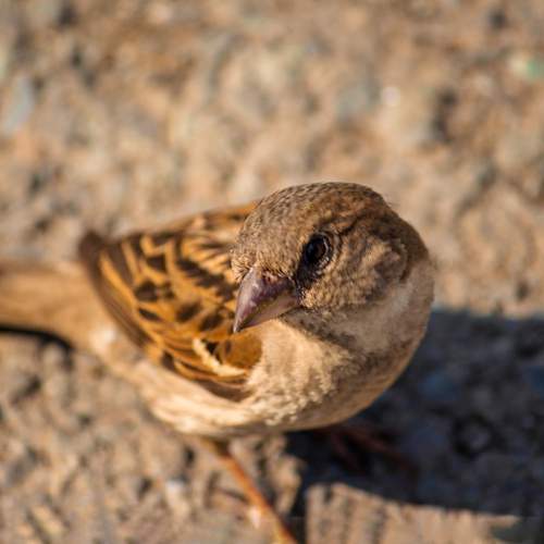 Photo #13709625