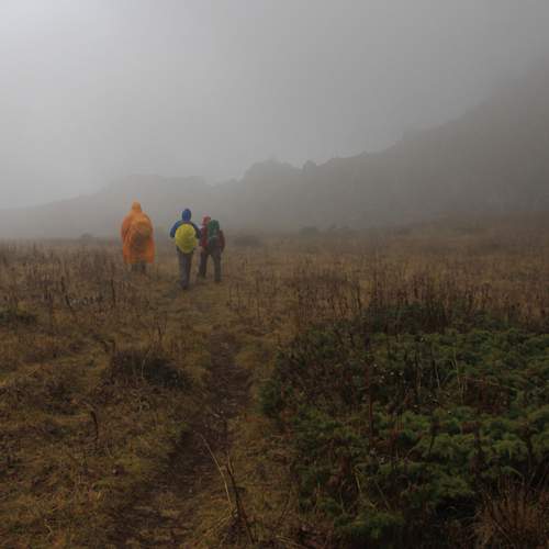 Photo #13709673