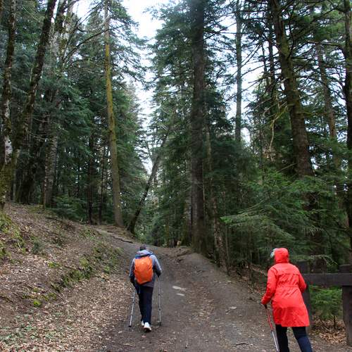 Photo #13709674