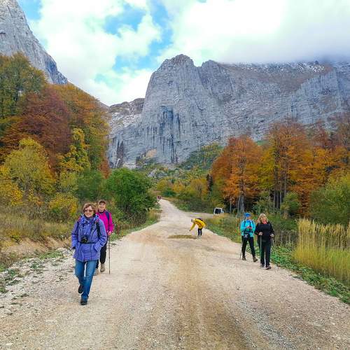 Photo #13709675