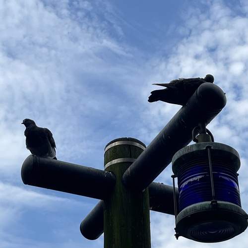 Photo #13709721