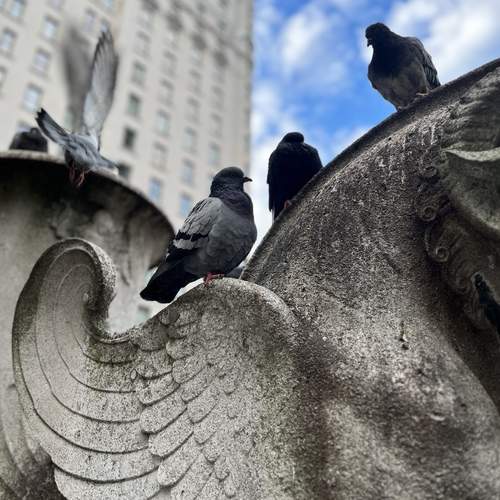 Photo #13709722