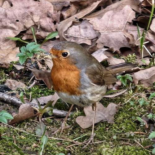 Photo #13709737