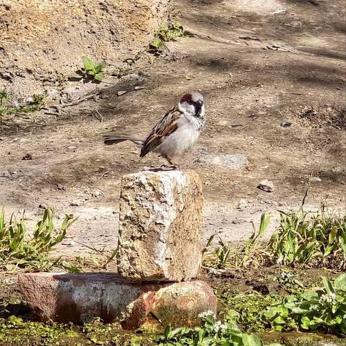 Photo #13709738