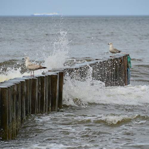 Photo #13709848