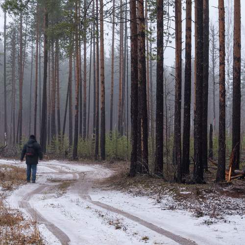 Photo #13709859