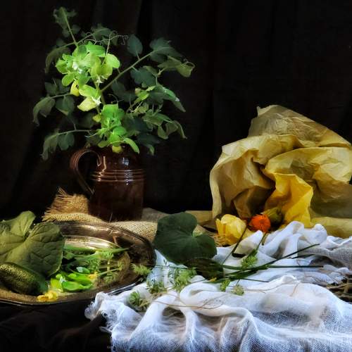 Photo #13709861