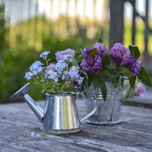 Photo #13709889
