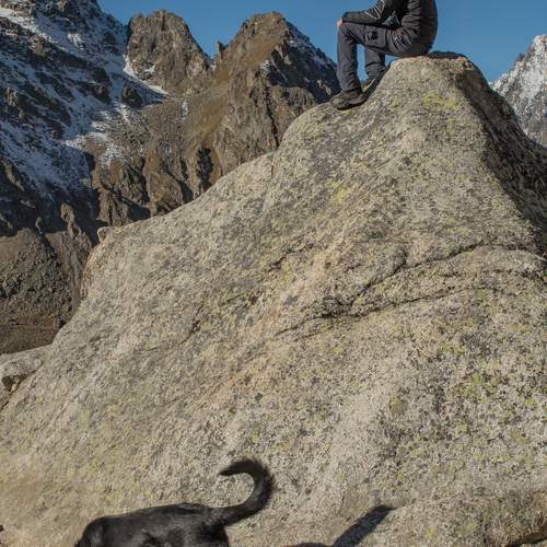 Photo #13709892