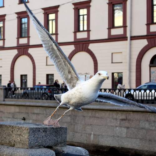 Photo #13709906