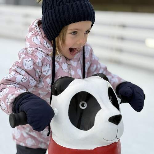 Photo #13709911