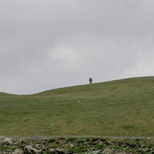Photo #13709936