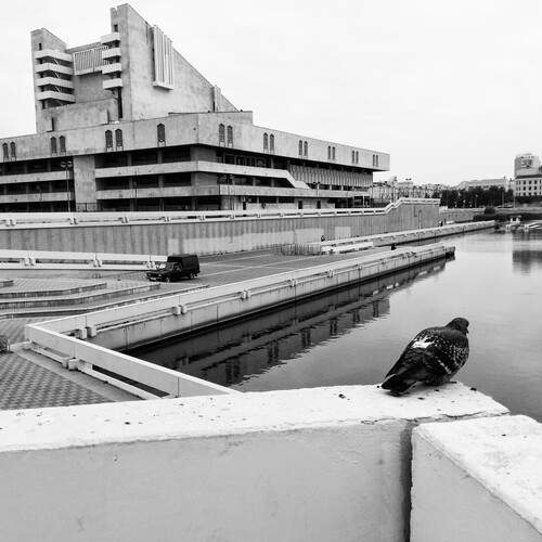 Photo #13709984