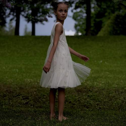 Photo #13710011