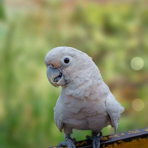 Photo #13710055