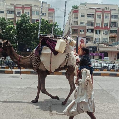 Photo #13710060