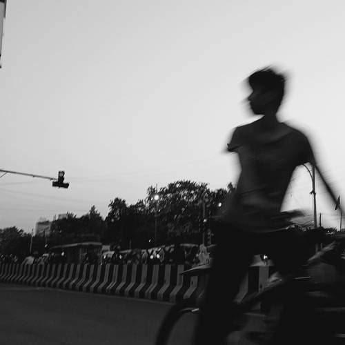Photo #13710061