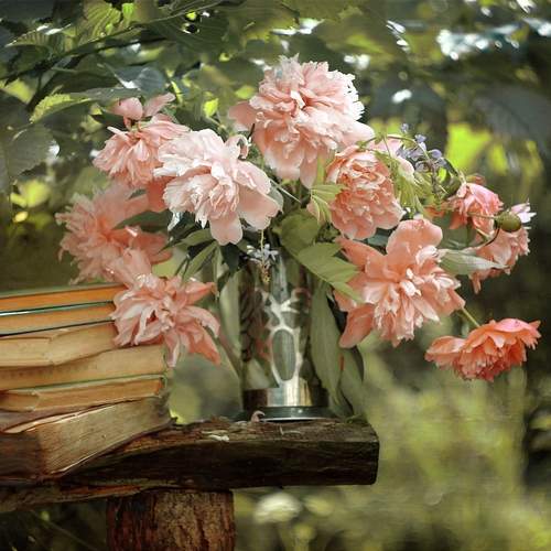 Photo #13710261