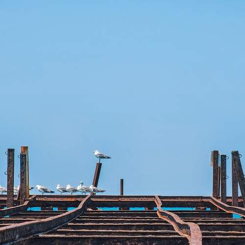 Photo #13710280