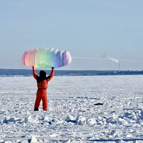 Photo #13710382
