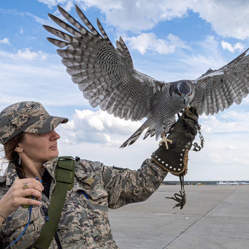 Photo #13710393