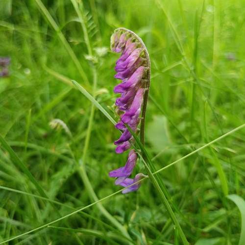 Photo #13710421