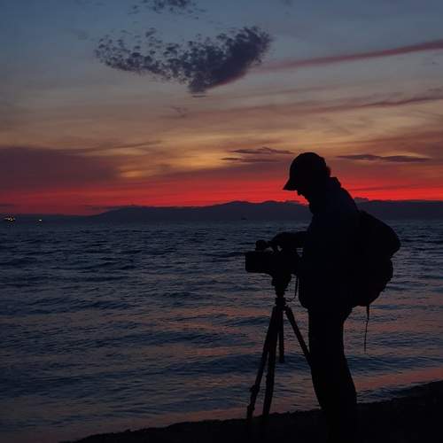 Photo #13710427