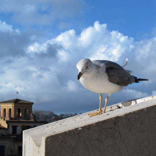 Photo #13710517