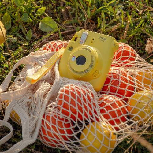 Photo #13710539